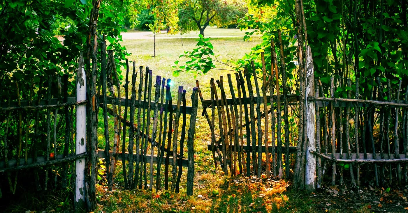 An old, uneven wooden gate hanging open between dense greenery, with sunlight pouring through into an unprotected field, symbolizing weak perimeter defenses.