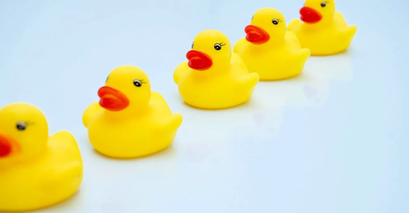 line of rubber duckies