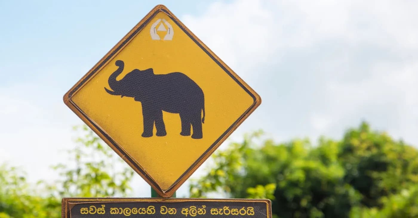 elephant crossing street sign
