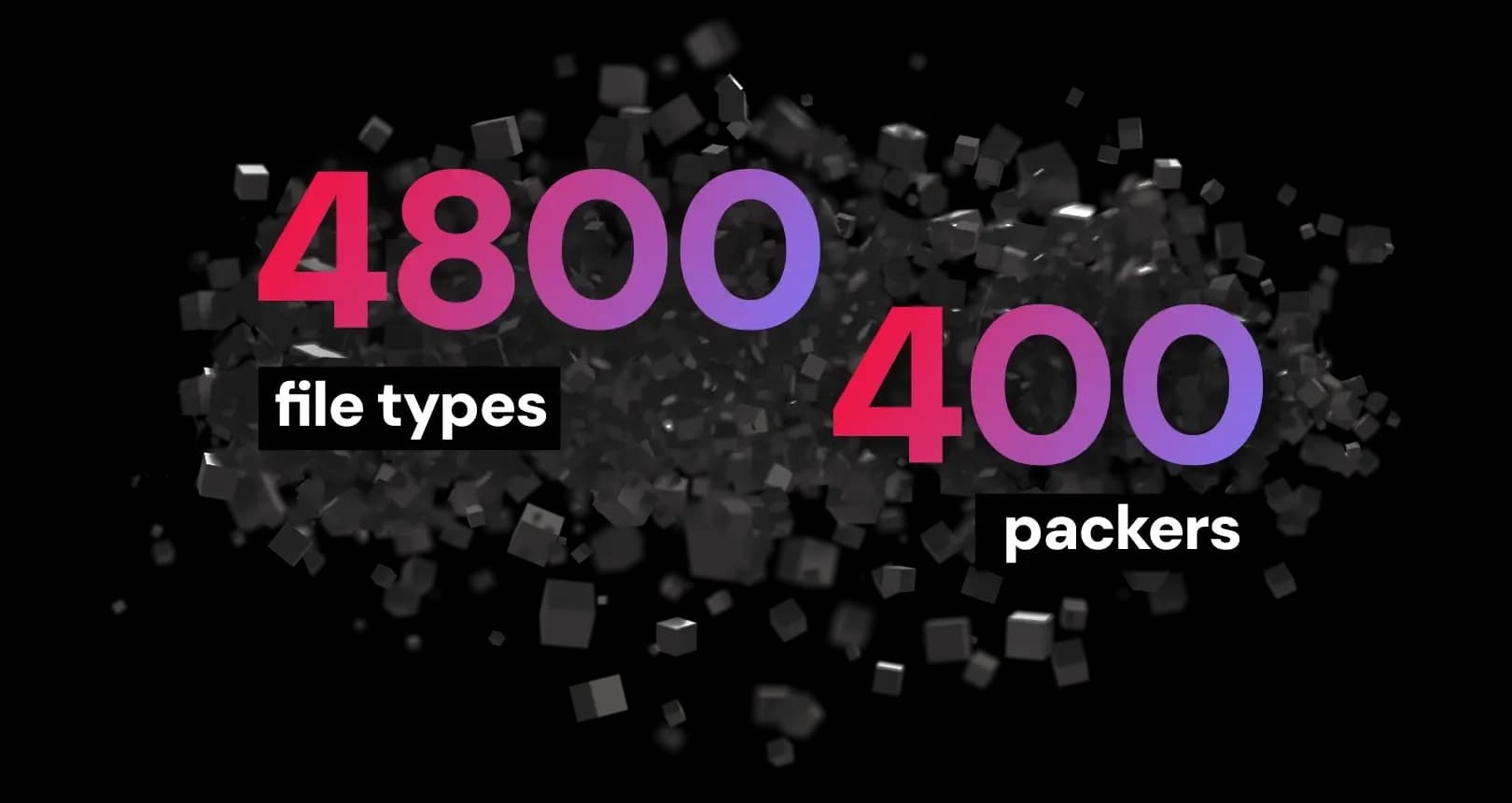 4800 file types 400 packers