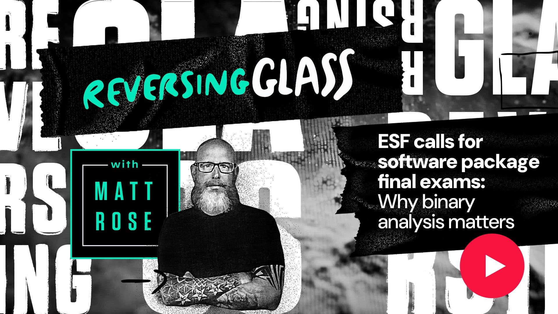 ESF calls for software package final exams: Why binary analysis matters