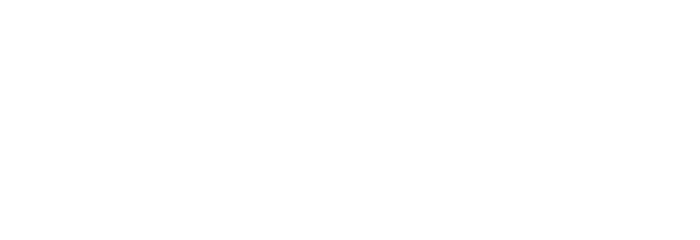 api-logo